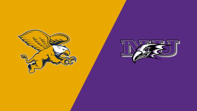 定了他在本 定了他在本