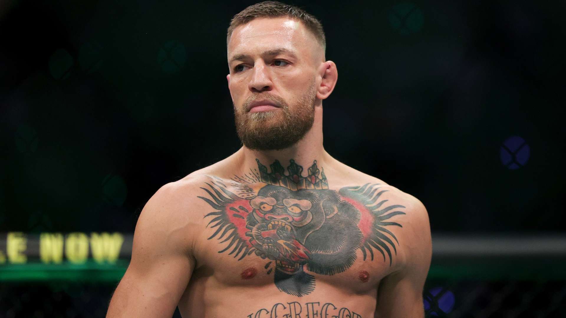 阵容规划显 阵容规划显