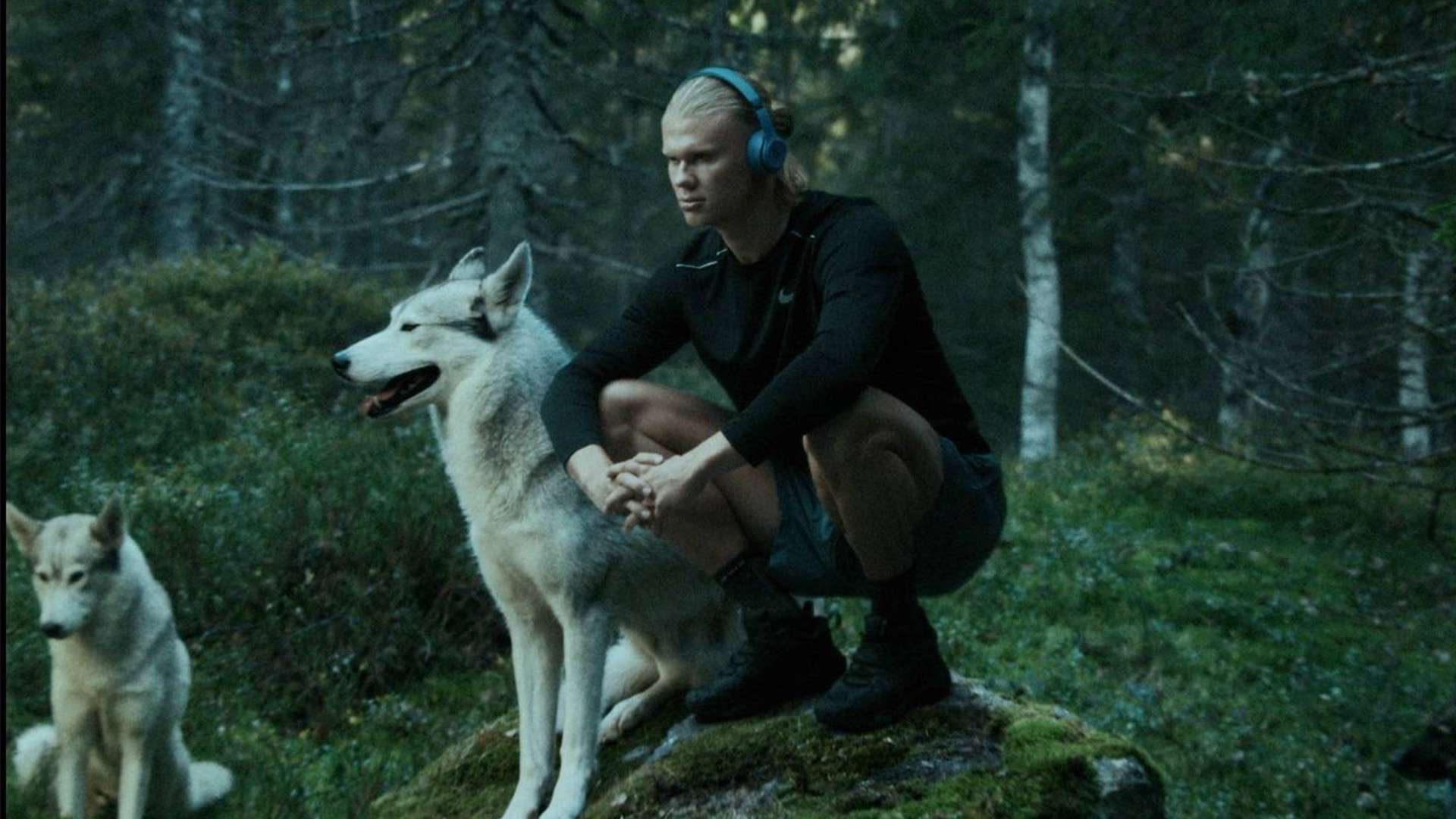 这也与他们 这也与他们