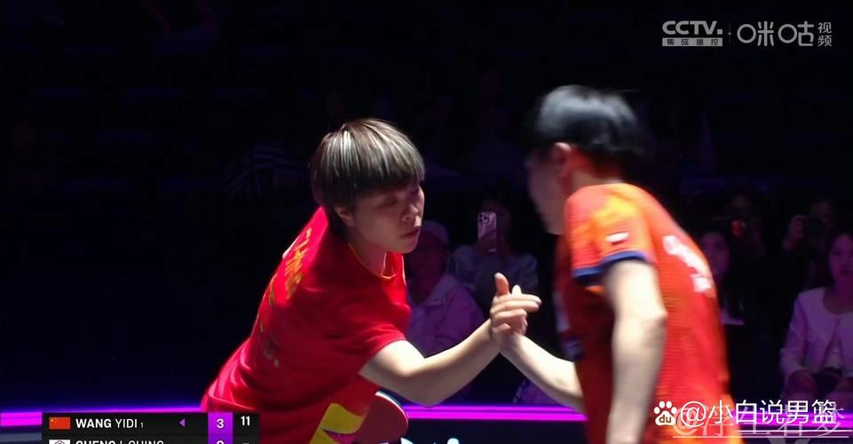 仁川乒联冠军赛:王艺迪对阵郑怡静精彩瞬间 仁川乒联冠军赛:王艺迪对阵郑怡静精彩瞬间